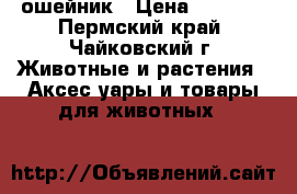 GPS  ошейник › Цена ­ 4 000 - Пермский край, Чайковский г. Животные и растения » Аксесcуары и товары для животных   